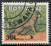 [Mammals, type ABV]