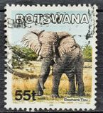 [Mammals, type ABX]
