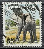 [Mammals, type ABX]