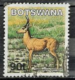 [Mammals, type ABY]