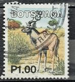 [Mammals, type ABZ]