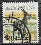 [Mammals, type ACA]