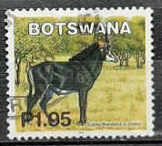 [Mammals, type ACB]