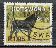 [Mammals, type ACB]
