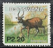 [Mammals, type ACC]