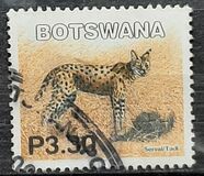 [Mammals, type ACE]
