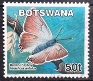 [Butterflies, type AGA]