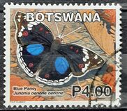 [Butterflies, type AGG]