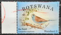 [Birds, tegund AJX]