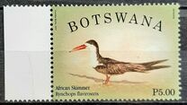 [Birds, tegund AKF]
