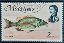 [Marine Life, տեսակ EX]