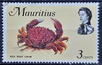 [Marine Life, տեսակ EY]