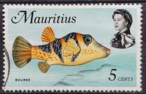 [Marine Life, տեսակ FA]