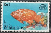 [Fish, 类型 AAT]