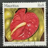 [Anthurium Species, type AEA]