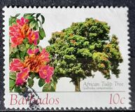 [Flowering Trees, 類型 AVX]
