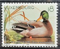 [Ducks, type ARP]
