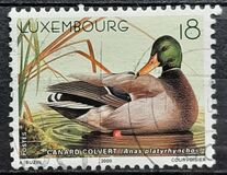 [Ducks, type ARP]