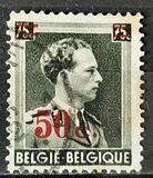[Overprint, タイプ FN4]
