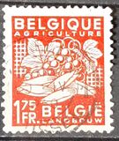 [National Industry, typ NP]