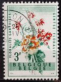 [Gent Flower Festival, type XS]