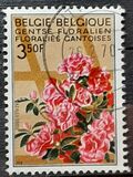 [flowers - Botanical Garden in Gent, type ALM]