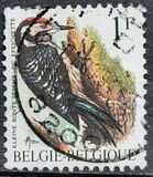 [Birds, نوع BNH]