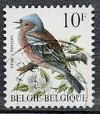[Birds, Typ BNI]