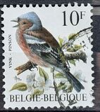 [Birds, Typ BNI]