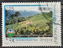 [Eastern Nepal Tea Gardens, प्रकार XK]