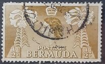 [Local Motives and Queen Elizabeth II, tip AX]