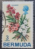 [Flowers, type ED]