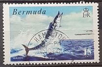 [World Fishing Records, type FN]