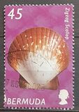 [Shells, type AAI]