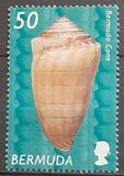 [Shells, type AAJ]