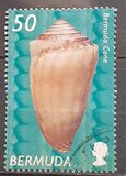 [Shells, type AAJ]