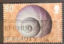 [Shells, type AAL]
