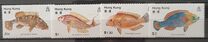 [Fish, 类型 GN]