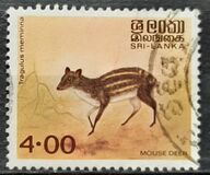 [Animals, tegund DJ1]