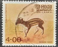 [Animals, tegund DJ1]