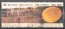 [Ancient Sri lanka, Tip ANK]