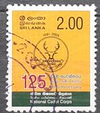 [The 125th Anniversary of the National Cadet Corps, タイプ APX]