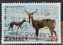 [Local Mammals, tipas JK]