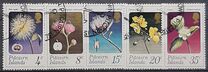 [Flowers and Fruits of Native Trees and Shrubs, タイプ DZ]