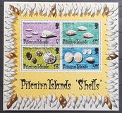 [Shells, Tipi EG]