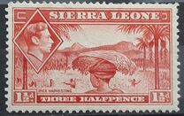 [King George VI - Rice Harvest, ประเภท AE]
