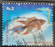 [Aquarium Fish, Tipi ANA]
