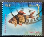 [Aquarium Fish, Tipi ANB]