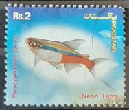 [Aquarium Fish, Tipi ANC]