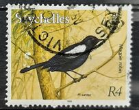 [Flora and Fauna, jenis VW]